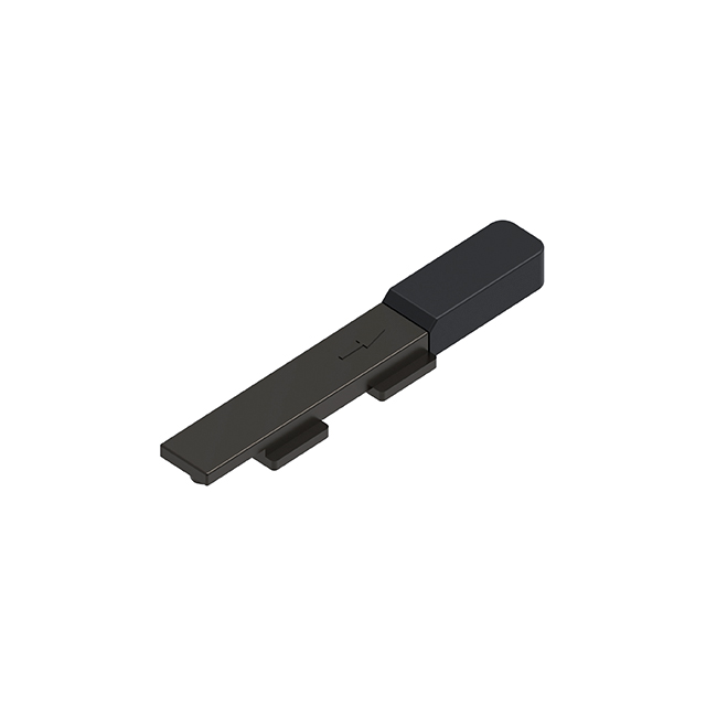 Folding Door Latch