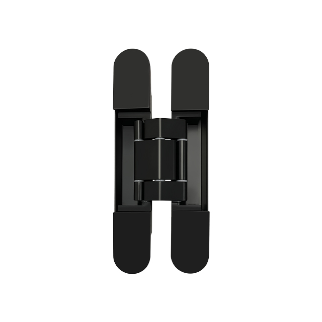Hidden Hinge