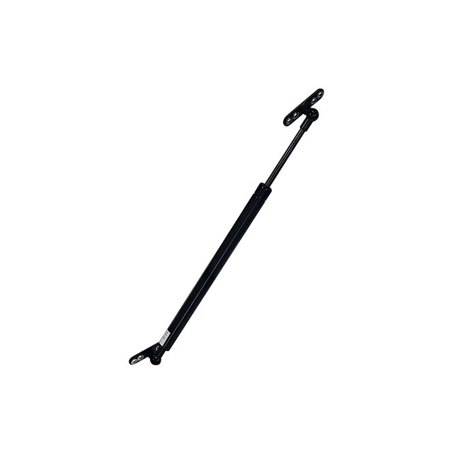 Gas Strut